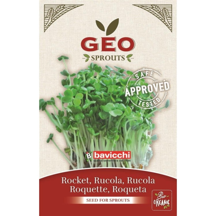 rukola-nasiona-na-kielki-geo-certyfikowane-30g-bavicchi.jpg